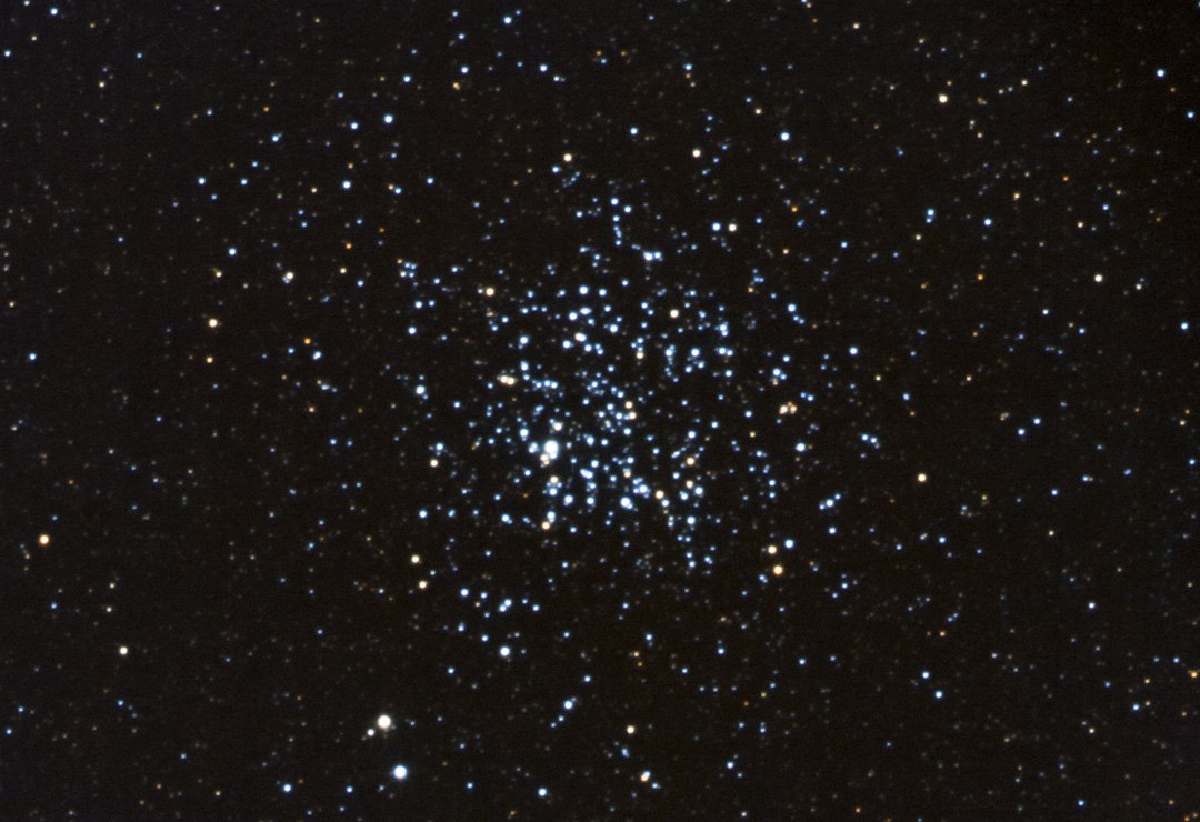 M11