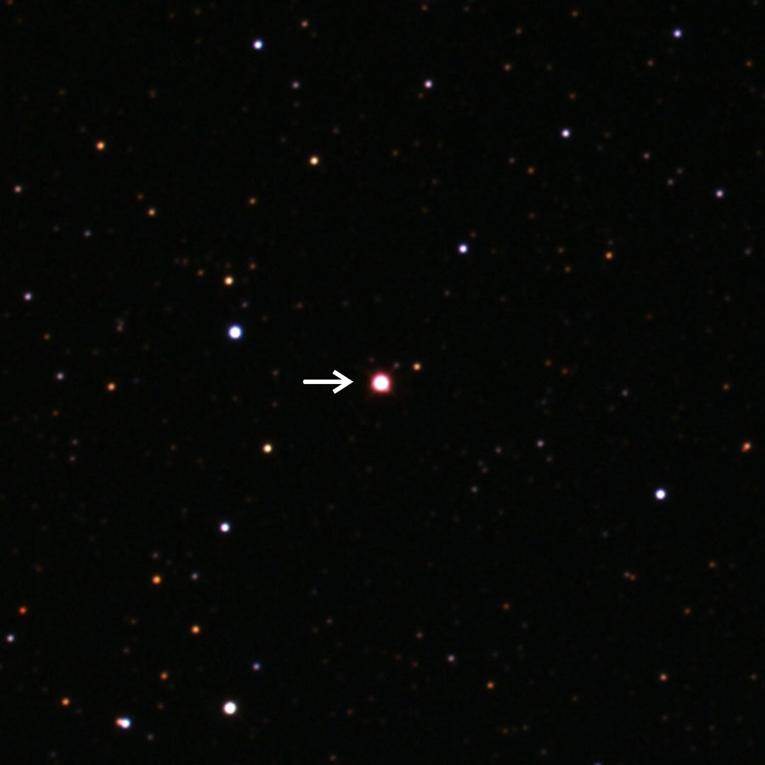 NSge2026