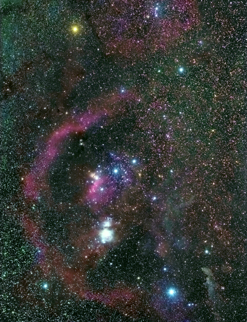 Orion